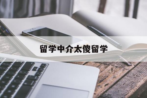 留学中介太傻留学 留学中介太傻留学